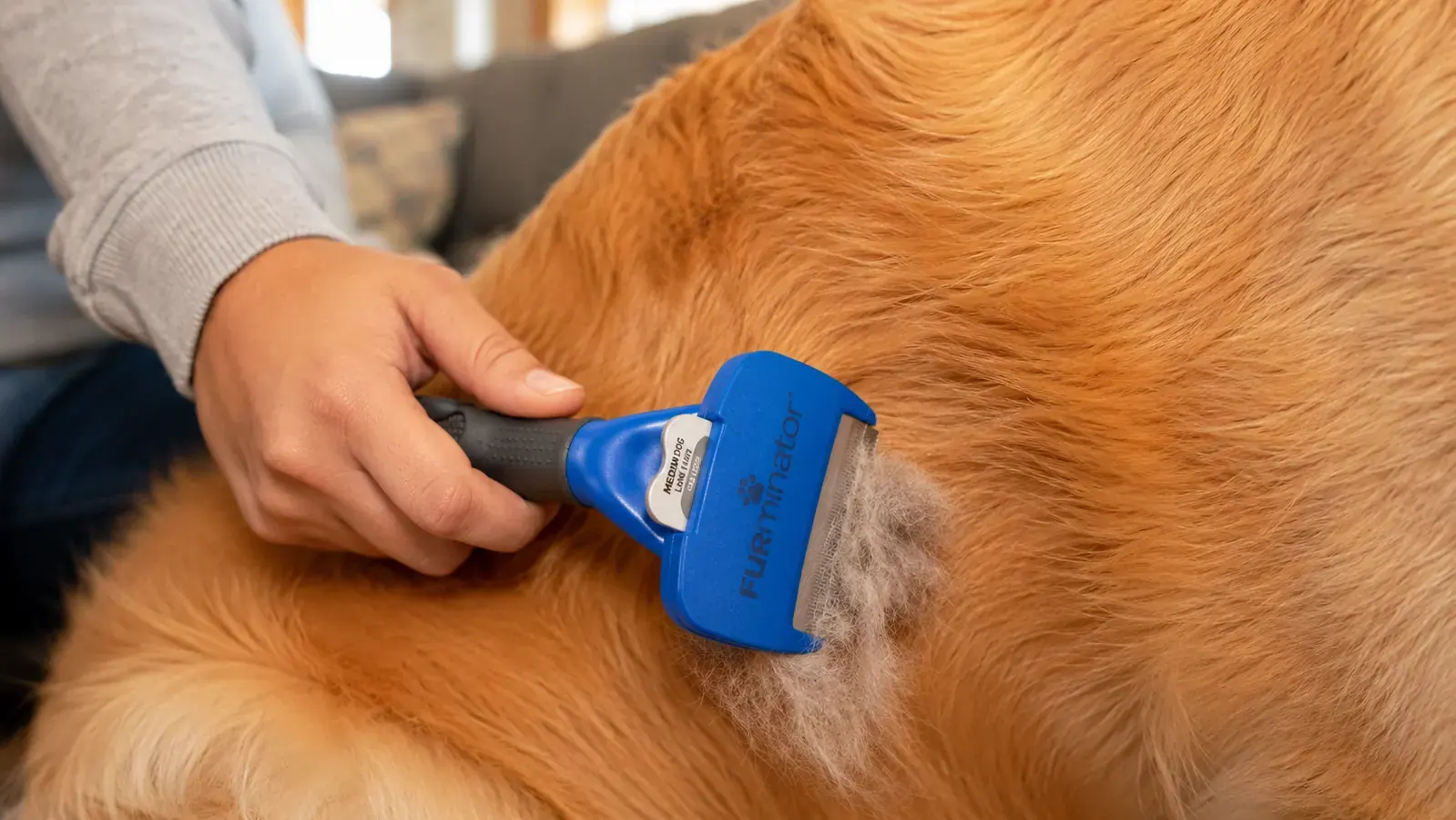 A close shot of a hand running a curved stainless deshedding tool along a dog's flank with a thick clump of pale undercoat pulling free from the blade