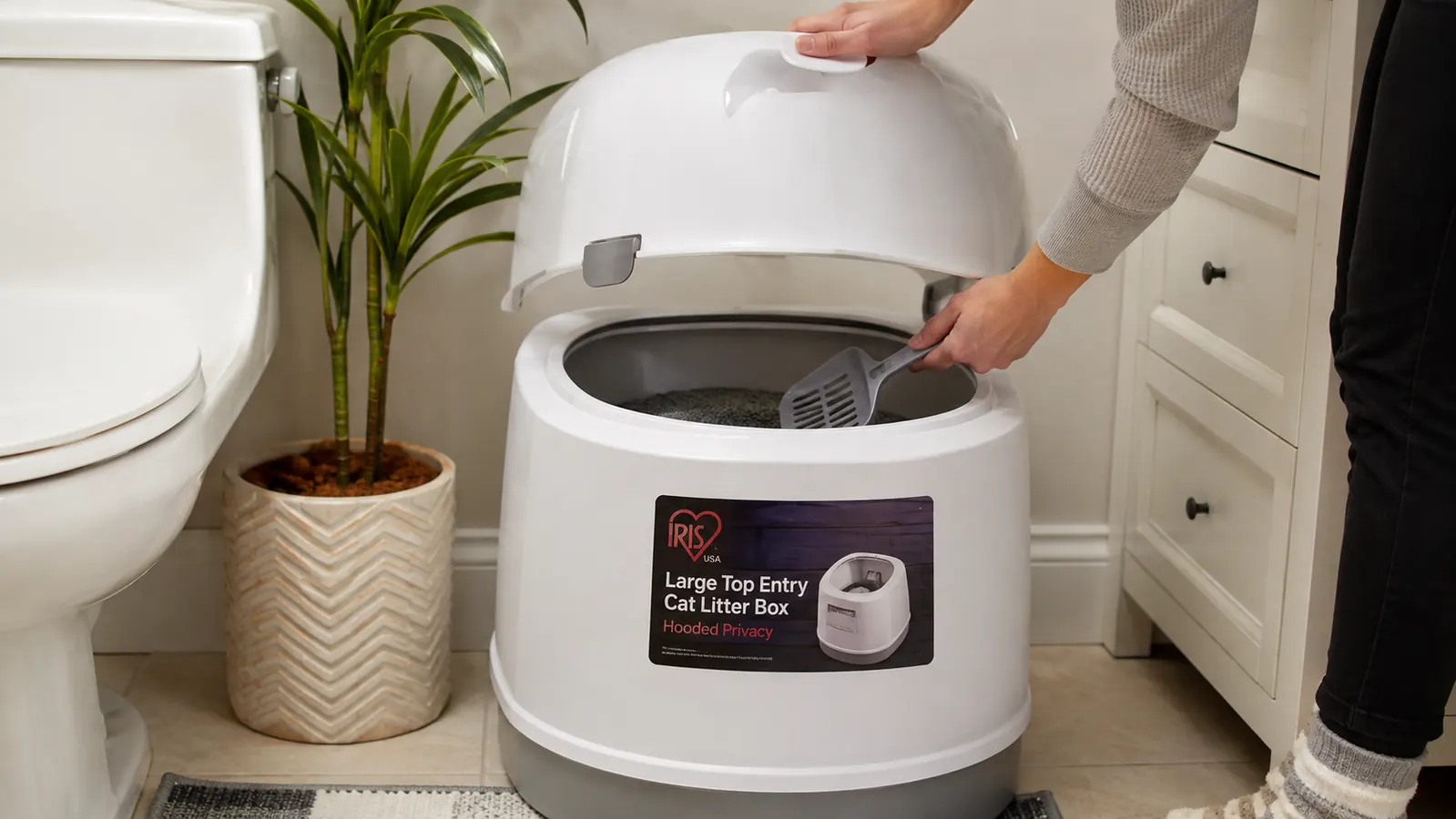 A hand lifting the rounded hood off the top entry litter box to scoop it, open top visible